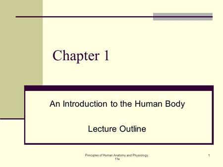 An Introduction to the Human Body Lecture Outline