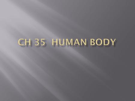 Ch 35 Human Body.