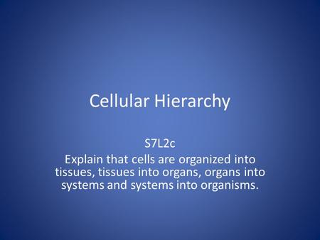 Cellular Hierarchy S7L2c