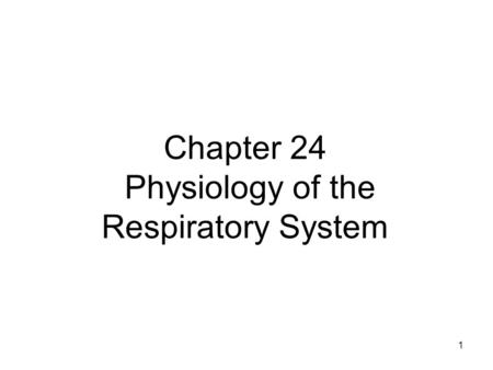 Chapter 24 Physiology of the Respiratory System