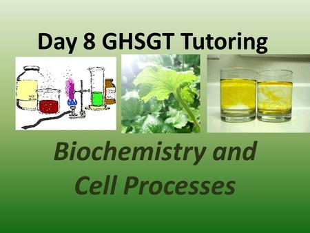Day 8 GHSGT Tutoring Biochemistry and Cell Processes.
