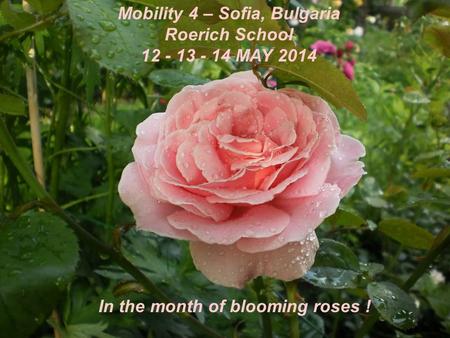 Mobility 4 – Sofia, Bulgaria Roerich School 12 - 13 - 14 MAY 2014 In the month of blooming roses !