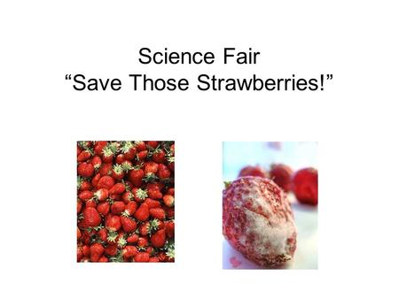 Science Fair “Save Those Strawberries!”