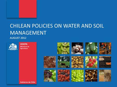 Oficina de Estudios y Políticas Agrarias www.odepa.cl CHILEAN POLICIES ON WATER AND SOIL MANAGEMENT AUGUST 2012.