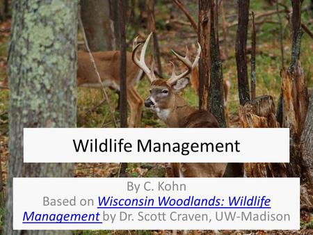 Wildlife Management By C. Kohn Based on Wisconsin Woodlands: Wildlife Management by Dr. Scott Craven, UW-MadisonWisconsin Woodlands: Wildlife Management.