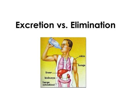 Excretion vs. Elimination. Your body makes several kinds of waste, which fall into two groups: –Undigested solid wastes –Wastes made by cells.