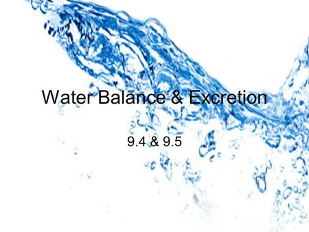 Water Balance & Excretion