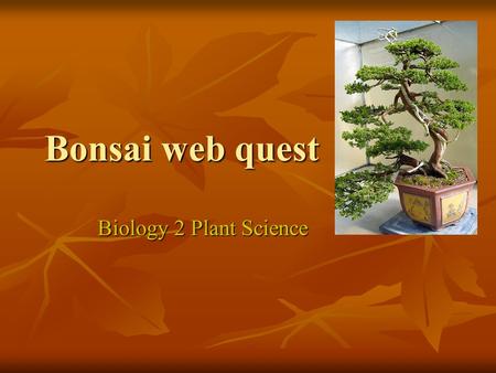 Bonsai web quest Biology 2 Plant Science. Bonsai A Web Quest for high school students A Web Quest for high school students designed by S. Griffin designed.