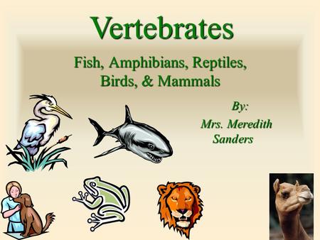 Fish, Amphibians, Reptiles, Birds, & Mammals