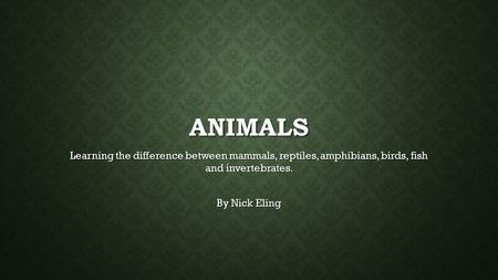 ANIMALS Learning the difference between mammals, reptiles, amphibians, birds, fish and invertebrates. By Nick Eling.