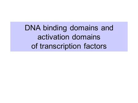 DNA binding domains and activation domains of transcription factors.