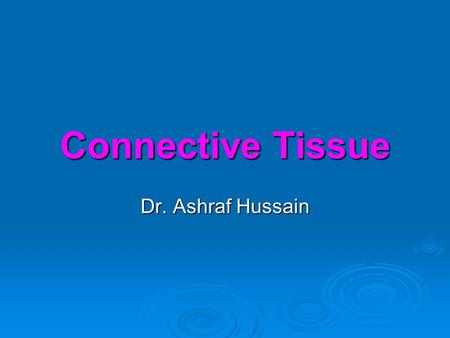 Connective Tissue Dr. Ashraf Hussain.