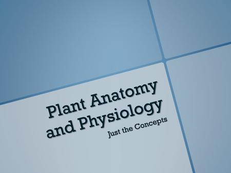Plant Anatomy and Physiology Just the Concepts. Environmental Factors On Plant Growth.