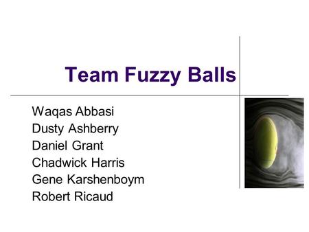 Team Fuzzy Balls Waqas Abbasi Dusty Ashberry Daniel Grant Chadwick Harris Gene Karshenboym Robert Ricaud.