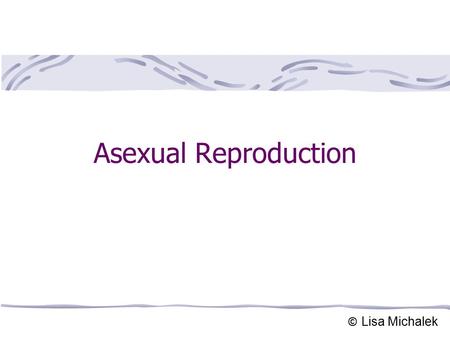 Asexual Reproduction © Lisa Michalek.