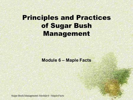 Sugar Bush Management: Module 6 - Maple Facts 1 Principles and Practices of Sugar Bush Management Module 6 – Maple Facts.