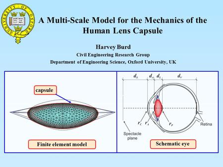 A Multi-Scale Model for the Mechanics of the Human Lens Capsule Harvey Burd Civil Engineering Research Group Department of Engineering Science, Oxford.