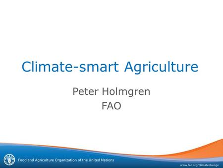 Climate-smart Agriculture Peter Holmgren FAO. Peter Holmgren, FAO 3 November 2009.