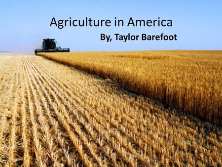 Agriculture in America By, Taylor Barefoot. Thesis Agriculture is a good for the United States, because it provides food and supplies that are used in.