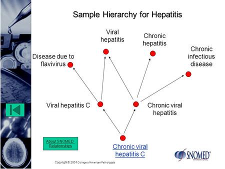 Copyright © 2001 College of American Pathologists Sample Hierarchy for Hepatitis Chronic viral hepatitis Chronic viral hepatitis C About SNOMED Relationships.