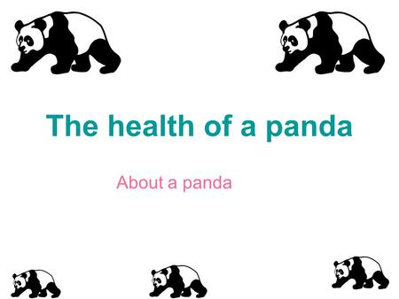 The health of a panda About a panda. Panda’s teeth They have 20 teeth.When panda’s eat, it cleans there teeth.Panda’s are omnivorous which means they.
