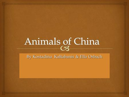 By Kostadina Kaltabanis & Ella Orbach.  China is an interesting and important place. Its animals are important too. For example the panda is one of China’s.