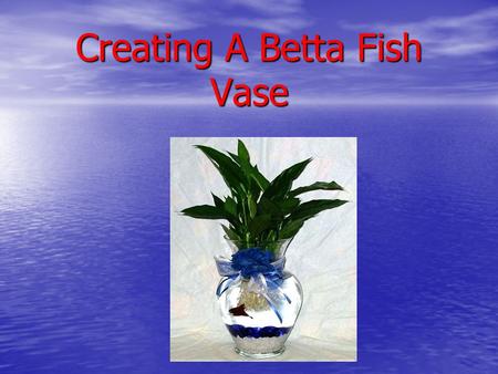 Creating A Betta Fish Vase. Supplies Needed! Colored Gemstones Fish Food.