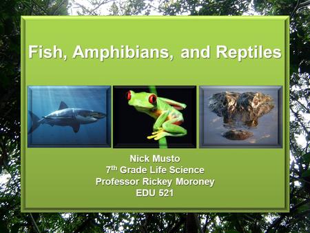 Fish, Amphibians, and Reptiles Nick Musto 7 th Grade Life Science Professor Rickey Moroney EDU 521.