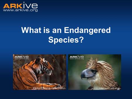 What is an Endangered Species?. A species that is at risk of extinction A species with a small or declining population, or a very small range. What is.