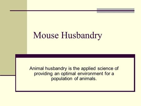 Mouse Husbandry Animal husbandry is the applied science of providing an optimal environment for a population of animals.