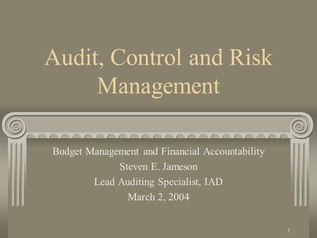 1 Audit, Control and Risk Management Budget Management and Financial Accountability Steven E. Jameson Lead Auditing Specialist, IAD March 2, 2004.