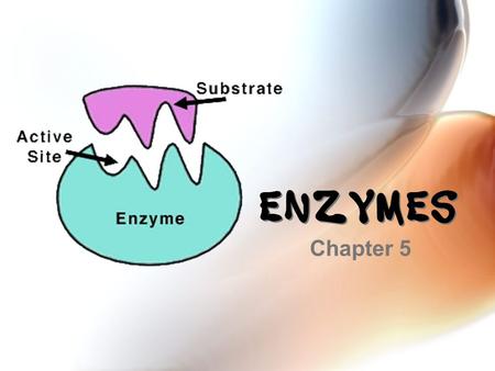 Enzymes Chapter 5.