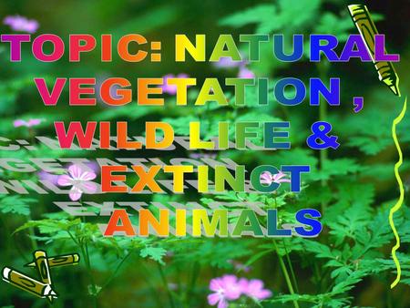 TOPIC: NATURAL VEGETATION , WILD LIFE & EXTINCT ANIMALS.