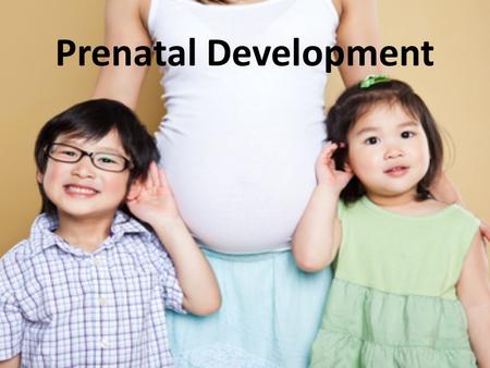 Prenatal Development.