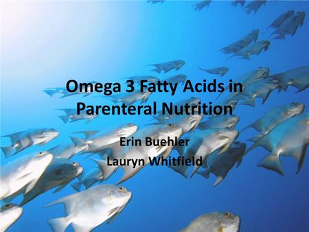 Omega 3 Fatty Acids in Parenteral Nutrition Erin Buehler Lauryn Whitfield.