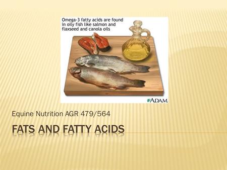 Equine Nutrition AGR 479/564.  Why are fats or oils used in equine diets?  To increase in energy density  Substitute energy for CHO’s  However, even.