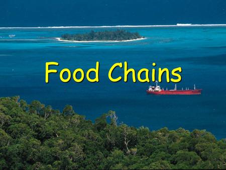 Food Chains. All energy comes from the sun Plants harness the sun’s energy in which process?