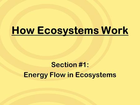Section #1: Energy Flow in Ecosystems