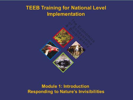TEEB Training Module 1: Introduction Responding to Nature’s Invisibilities TEEB Training for National Level Implementation ©TEEB.