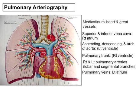 Pulmonary Arteriography Mediastinum: heart & great vessels Superior & inferior vena cava: Rt atrium Ascending, descending, & arch of aorta: (Lt ventricle)