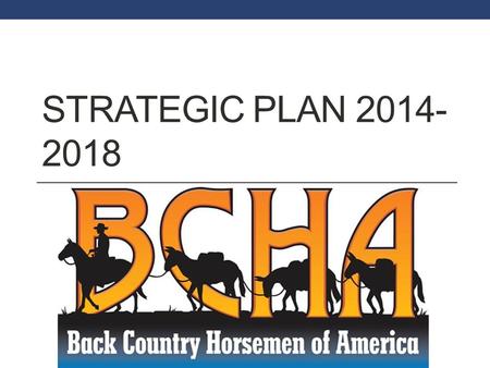 STRATEGIC PLAN 2014- 2018. Who Are We? Our service starts with our members—people who work tirelessly with their state and local chapters to solve some.