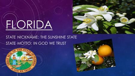 State nickname: The Sunshine State State Motto: In God we trust