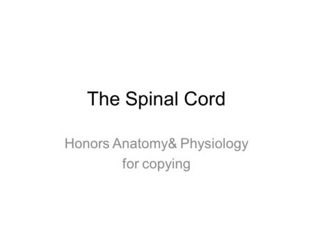 The Spinal Cord Honors Anatomy& Physiology for copying.