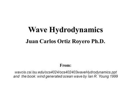 Juan Carlos Ortiz Royero Ph.D.
