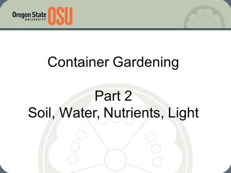 Container Gardening Part 2 Soil, Water, Nutrients, Light.