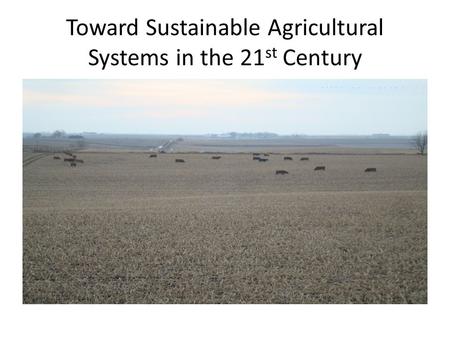 Toward Sustainable Agricultural Systems in the 21 st Century.