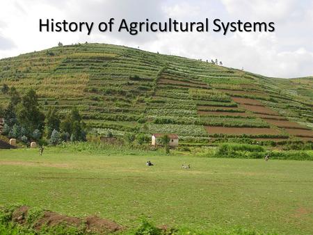 History of Agricultural Systems. Origins of Agriculture Agriculture begins in densely populated areas.