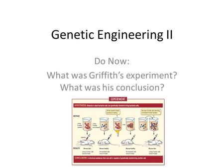 Genetic Engineering II