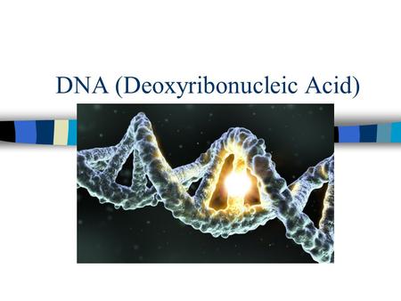DNA (Deoxyribonucleic Acid). Transformation of Bacteria.
