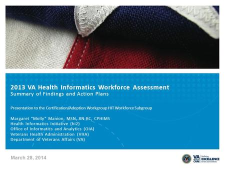 2013 VA Health Informatics Workforce Assessment